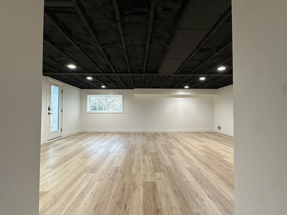 Turner home remodel - basement